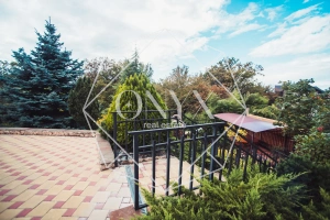 Изображение 29