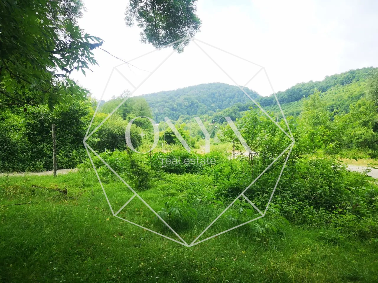 Изображение 24