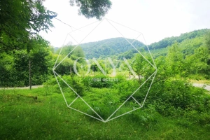 Изображение 24