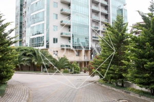 Изображение 8