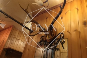 Изображение 13