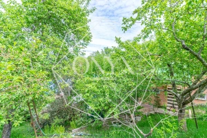 Изображение 15