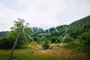 Изображение 11