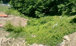 Участок для строительства элитного дома с вид...