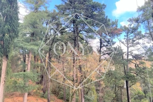 Изображение 19