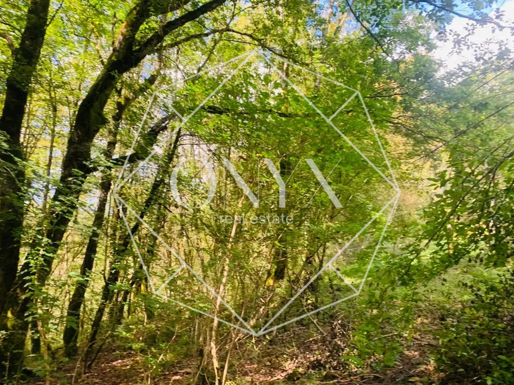 Изображение 10