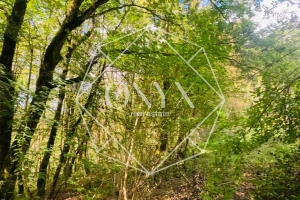 Изображение 10