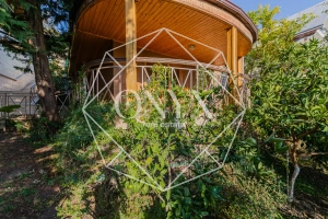 Изображение 11