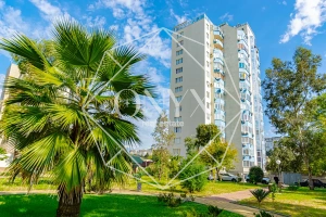 Изображение 11