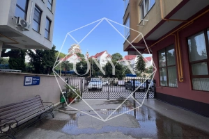 Изображение 12