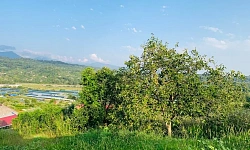 Участок с домом в нижней шиловке