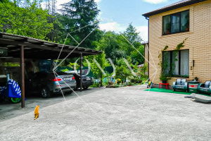 Изображение 24