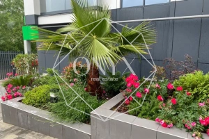 Изображение 12