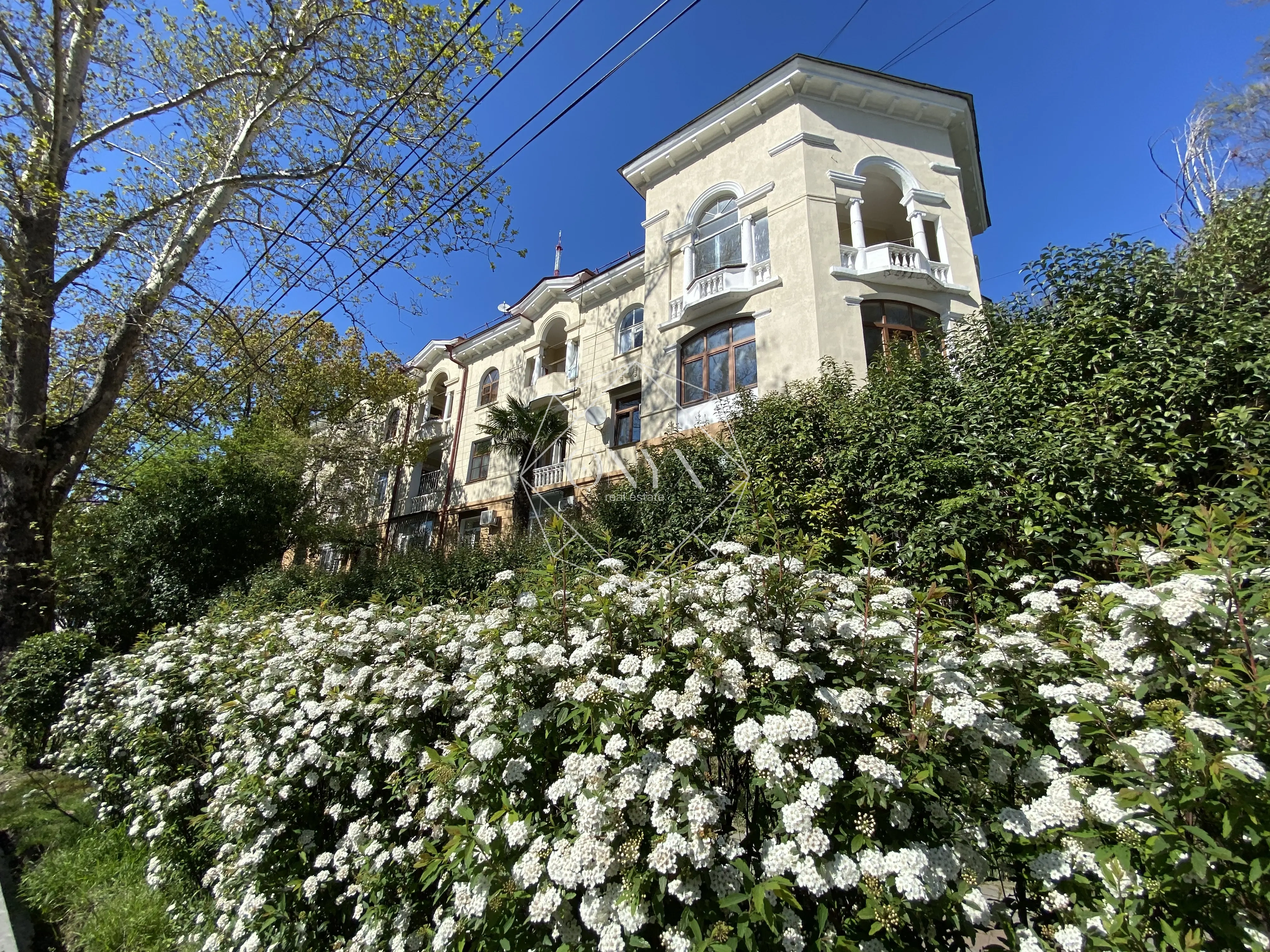 Изображение 14