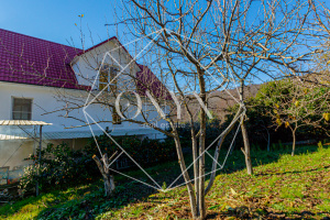 Изображение 10