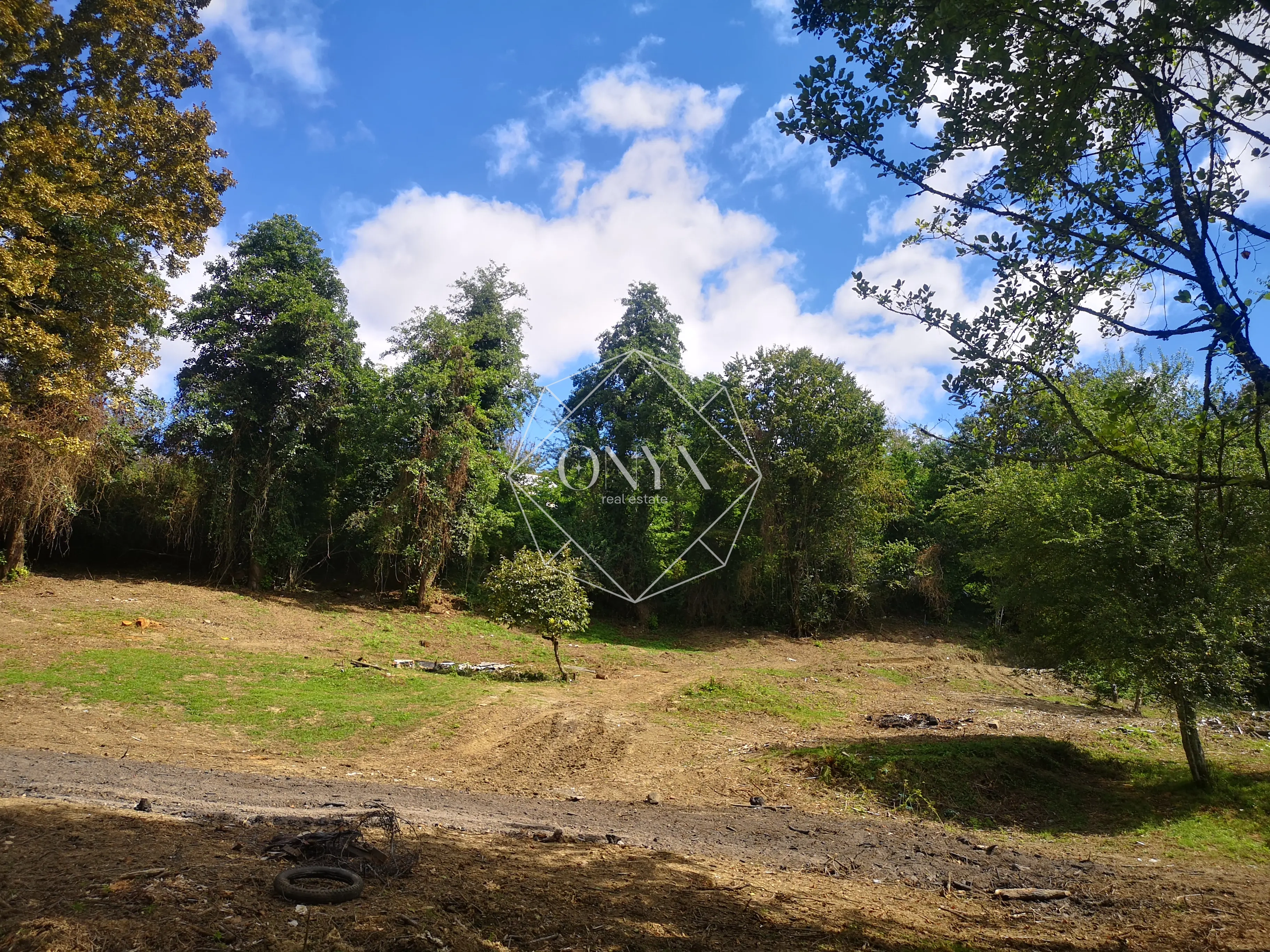 Изображение 9