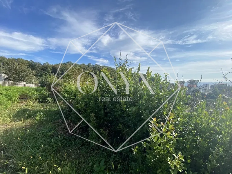 Изображение 10