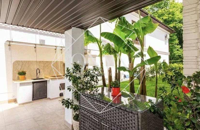 Изображение 24