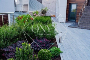 Изображение 8