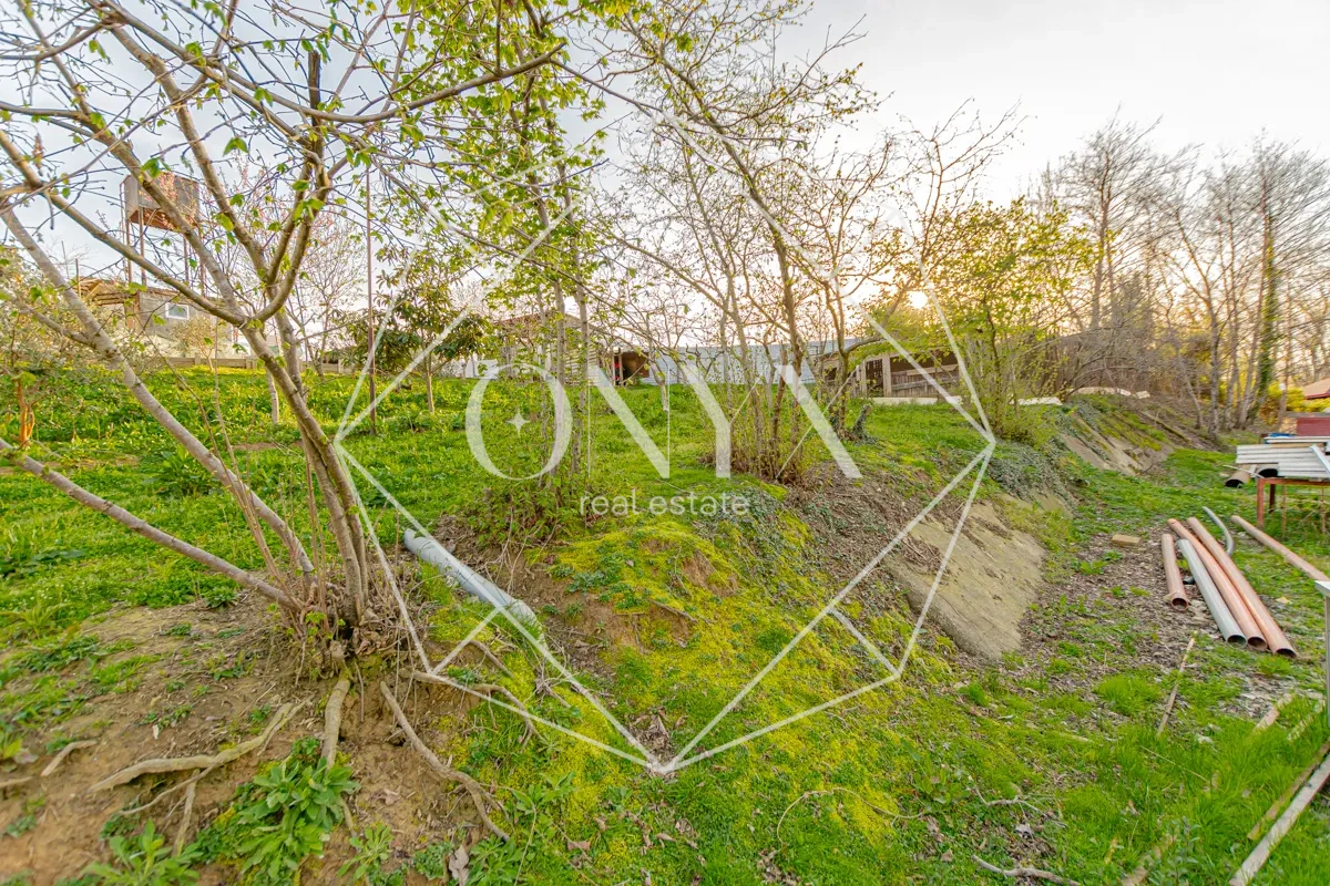 Изображение 11