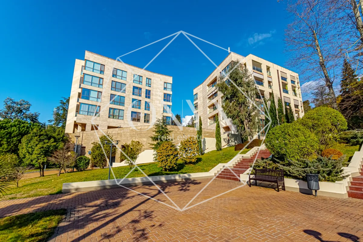 Изображение 24