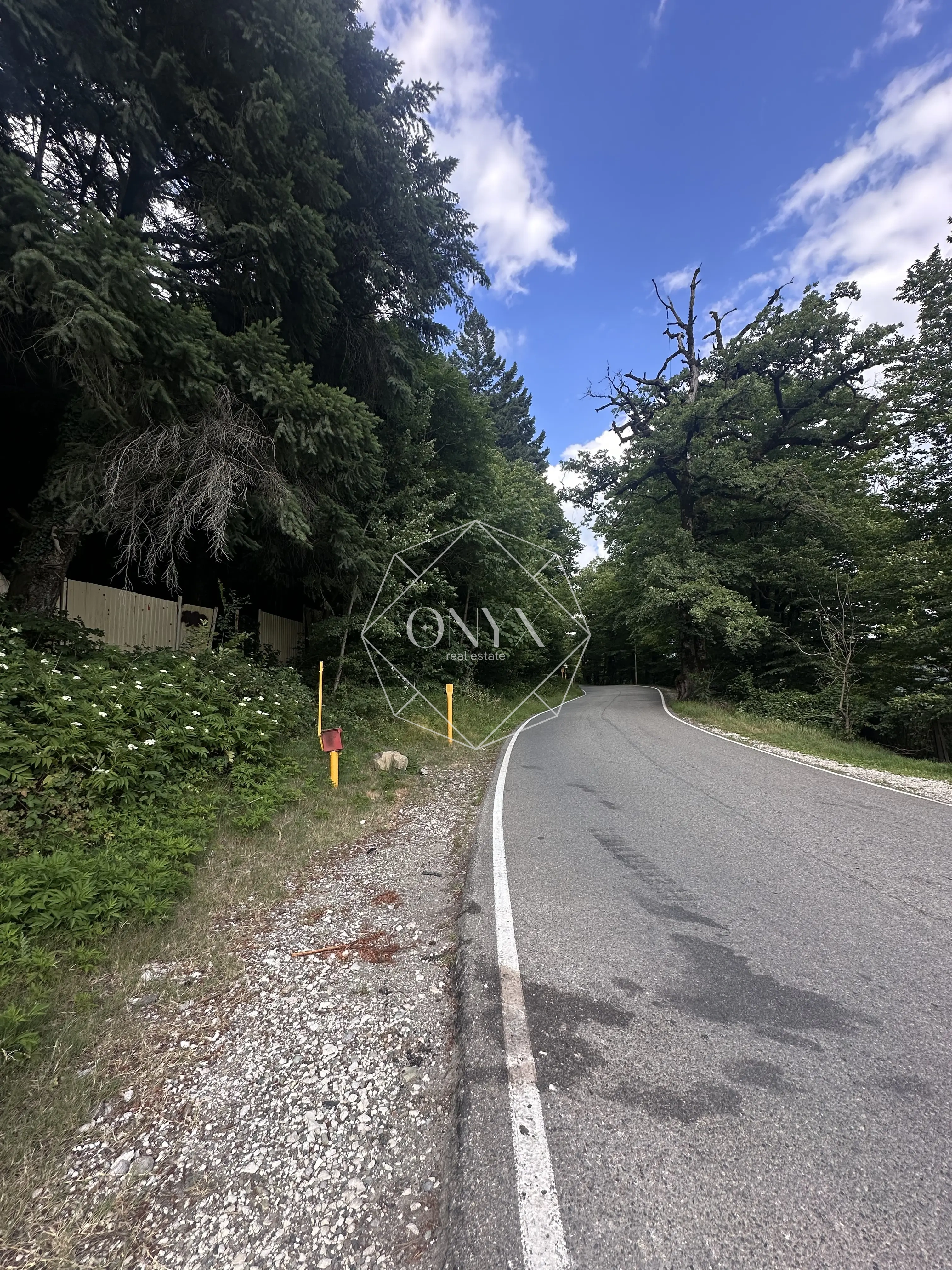 Изображение 15