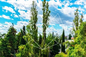 Изображение 17