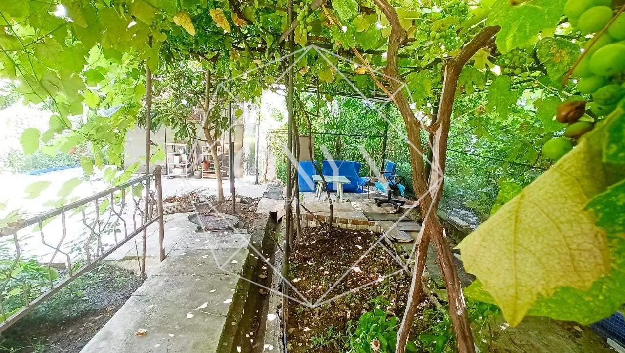 Изображение 11