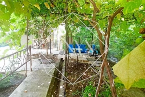 Изображение 11