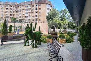 Изображение 14