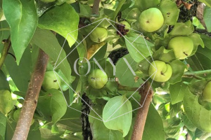 Изображение 20