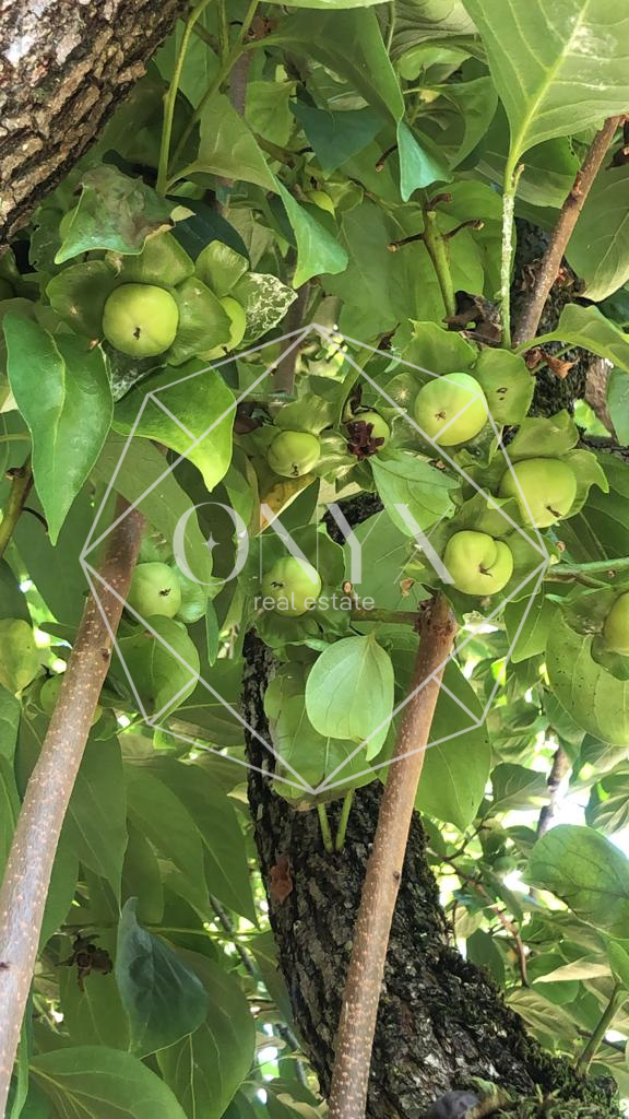 Изображение 20