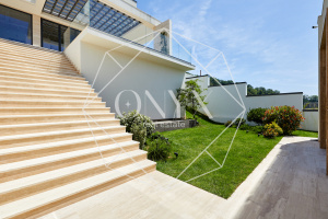 Изображение 12