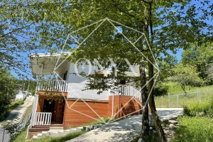 Изображение 10