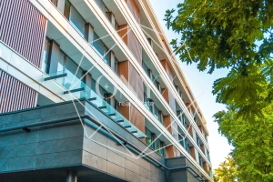 Изображение 19