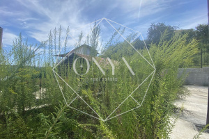 Изображение 12