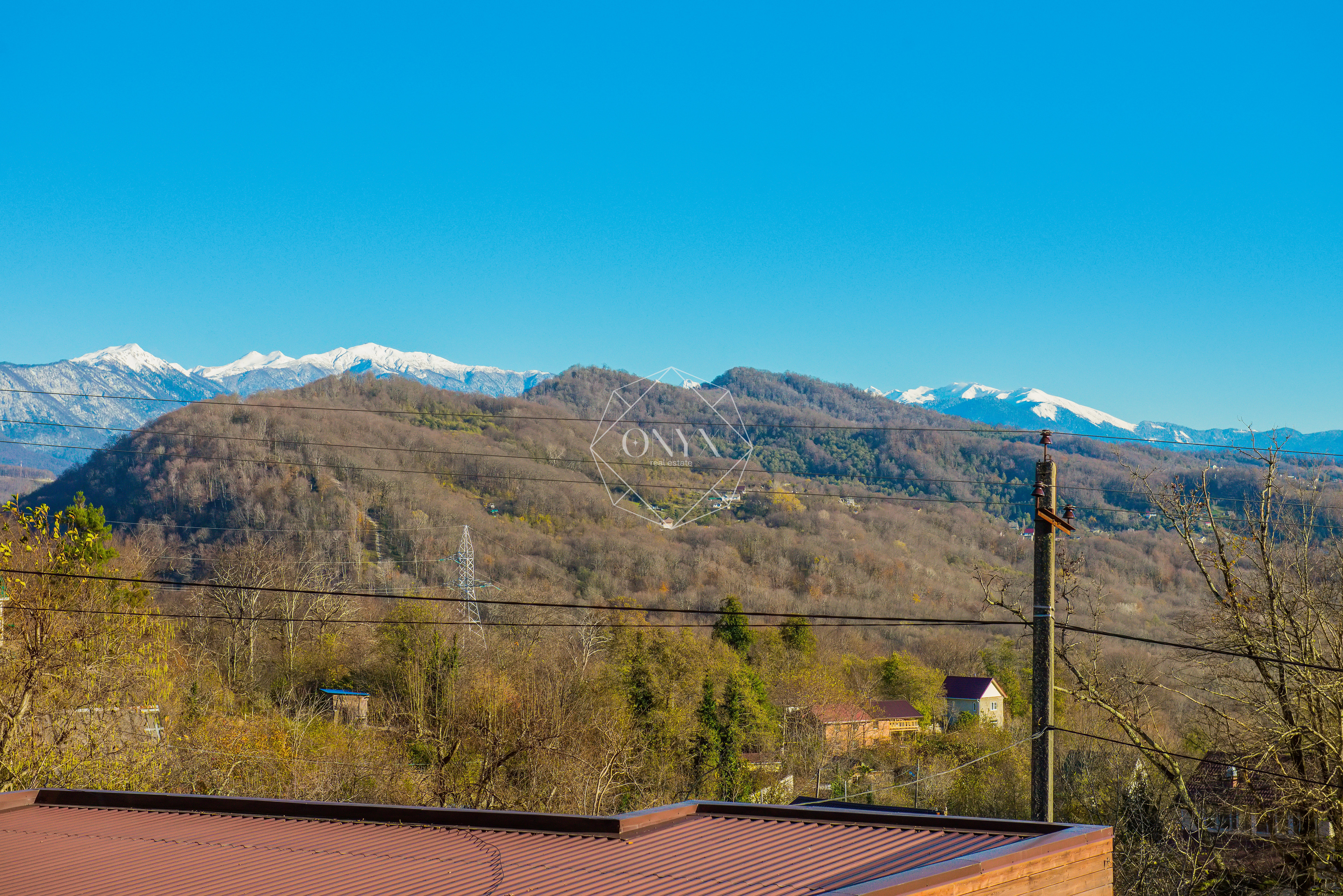 Изображение 12