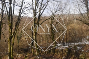 Изображение 7