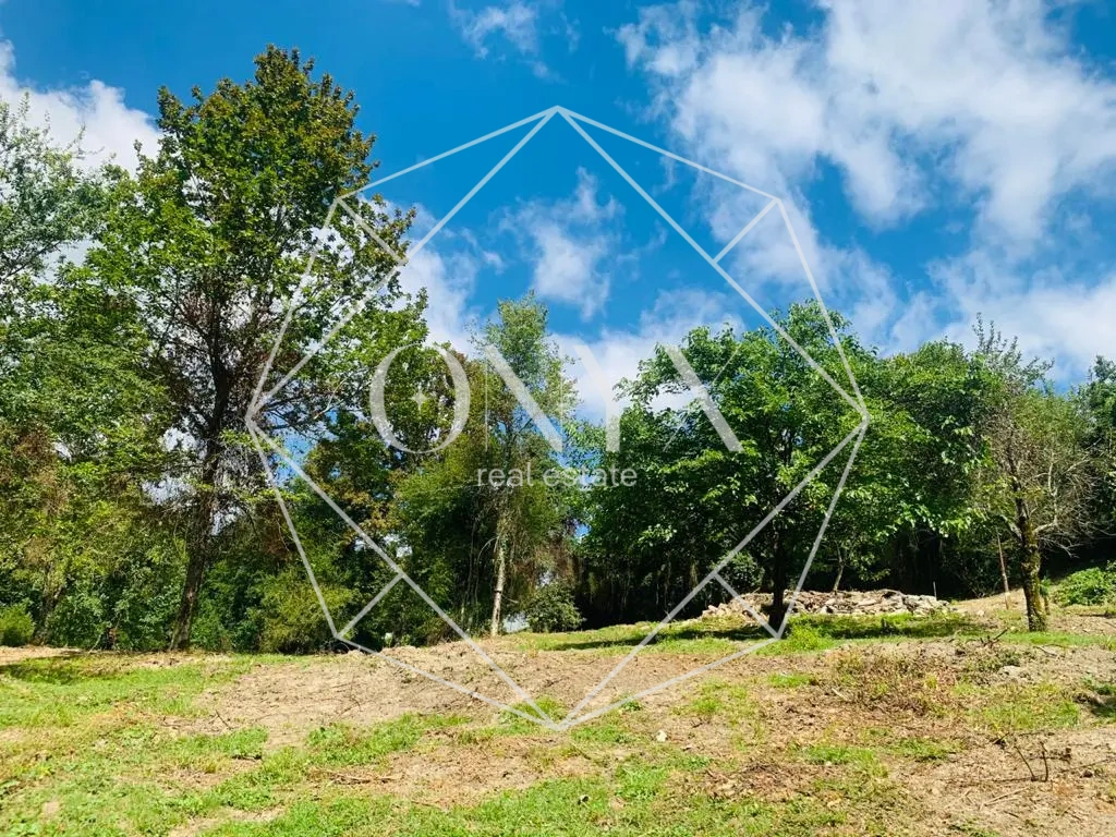 Изображение 12