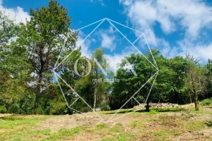 Изображение 12