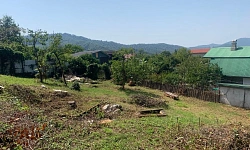 Земля в галицино 