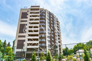 Изображение 52