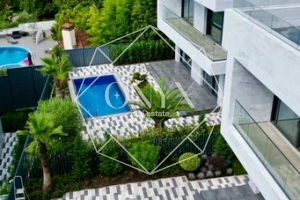 Изображение 8