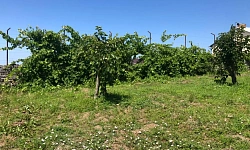 Ровный участок, с прекрасным видом