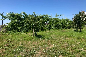 Ровный участок, с прекрасным видом