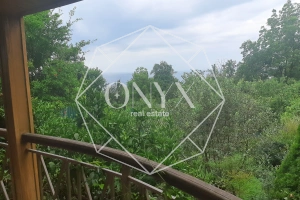 Изображение 12