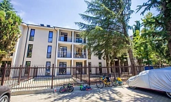 АК Розмарин