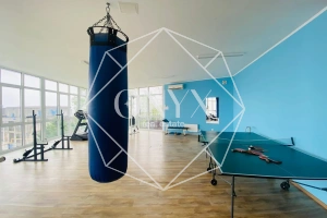 Изображение 12