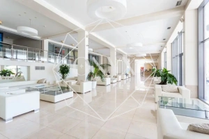 Изображение 11