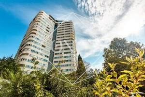 Изображение 18